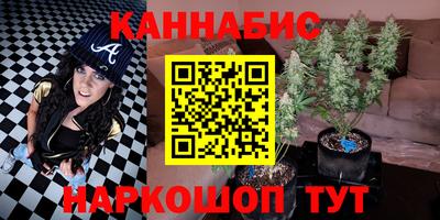 гидра Шахты